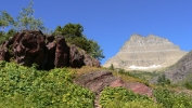 PICTURES/Swiftcurrent Pass Trail/t_Swiftcurrent Trail3.JPG